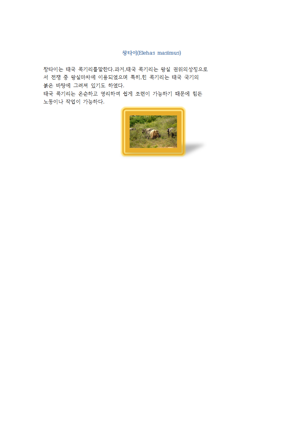 창타이 이미지