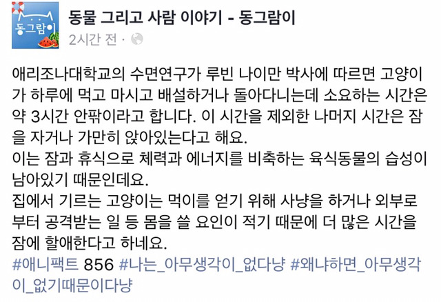 고양이는 하루 대부분을 아무것도 안 하는데 쓴다 | 인스티즈