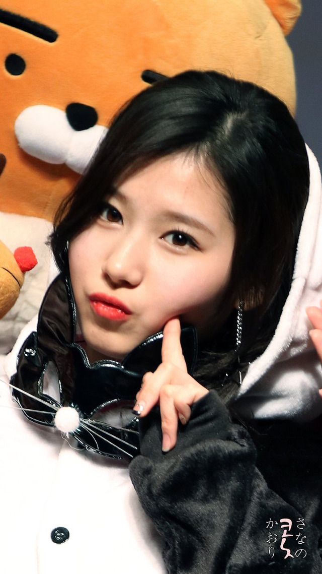팬더사 이미지