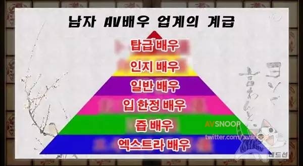 남자 AV 배우의 세계 | 인스티즈