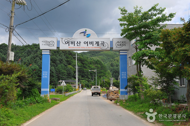 대일민박 이미지