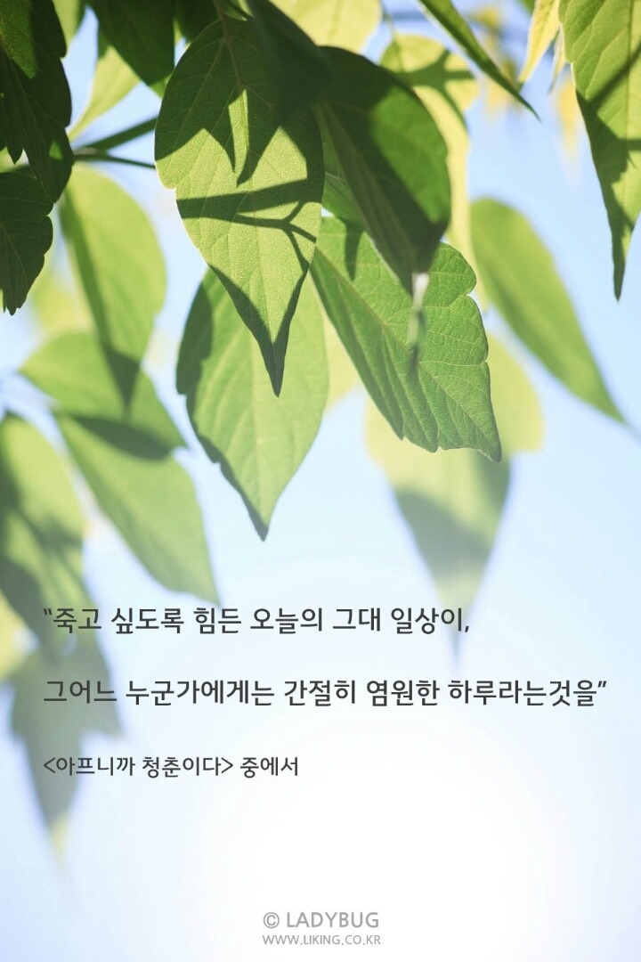 (유)처음으로 이미지