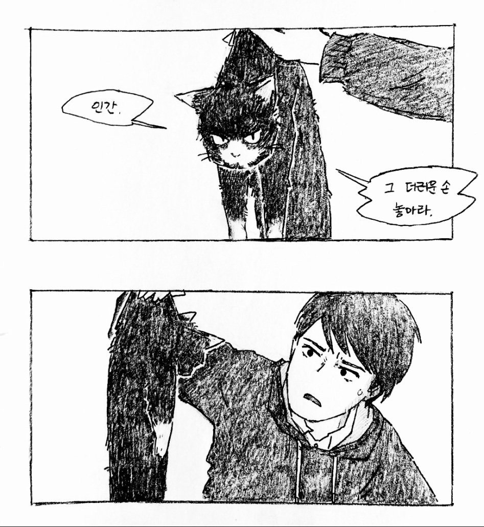 고양이와 동거하는 만화 | 인스티즈