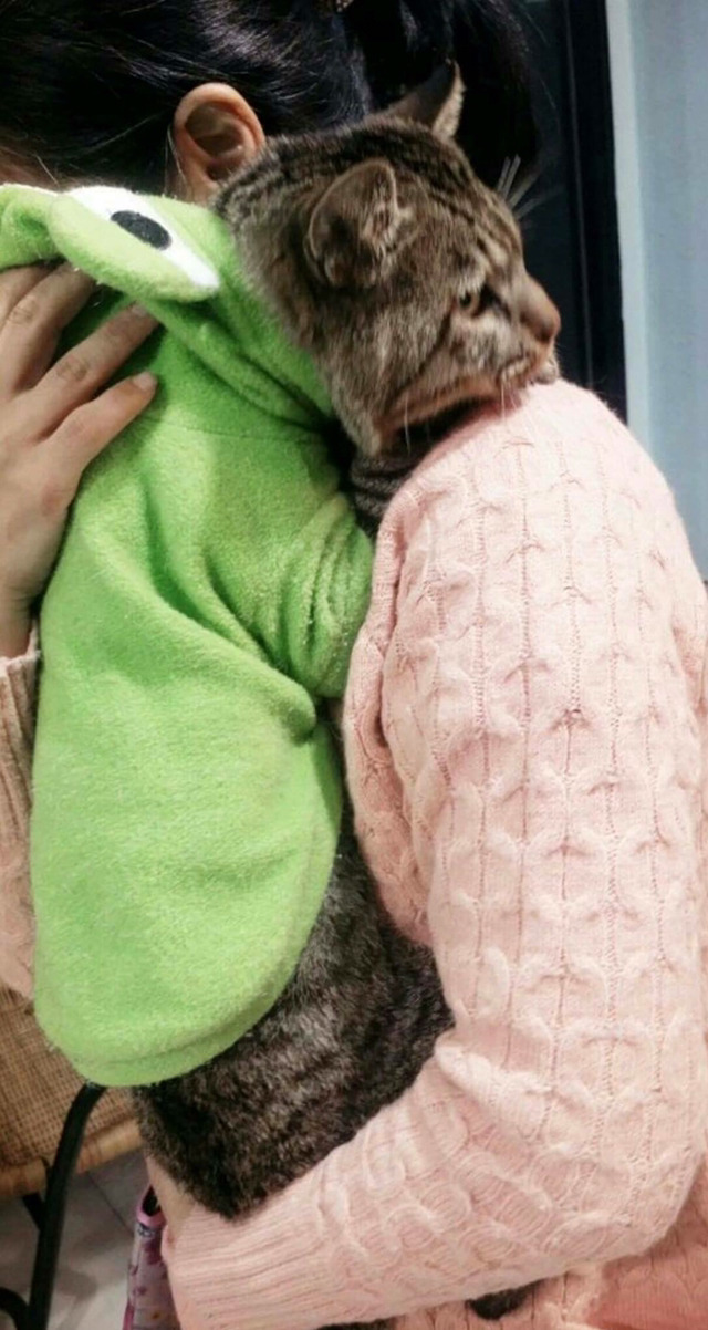 고양이를 학대 후 양발을 묶어 쓰레기봉투에 산채로 버림 (천안시 성정동) | 인스티즈