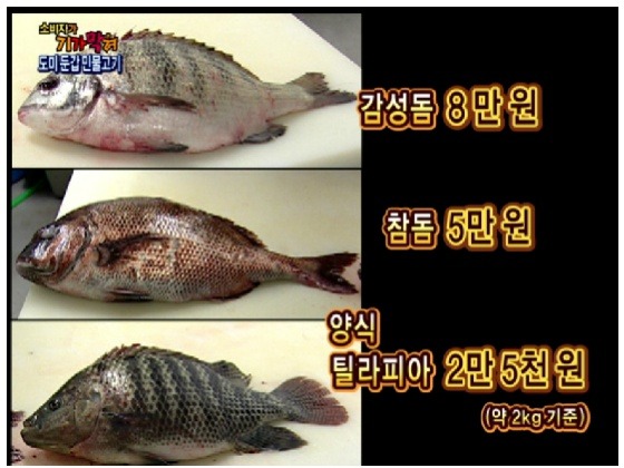 도미초밥 이미지
