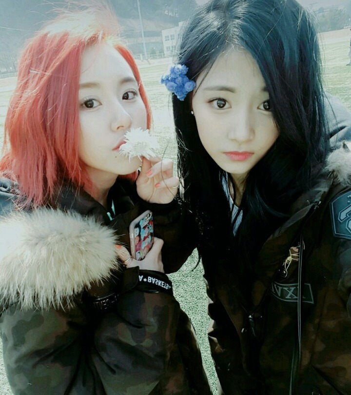 놀다 이미지