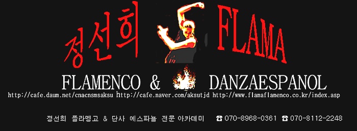정선희플라멩코아카데미 이미지