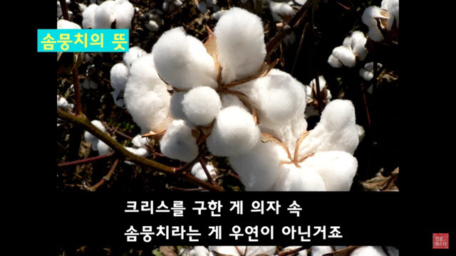영화 ＜겟아웃＞ 자잘한부분까지 완/벽/분/석 (2) | 인스티즈