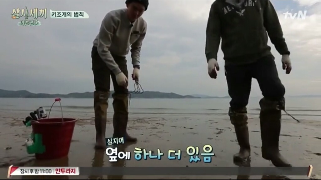 [삼시세끼] 에릭이 말하는 어이없는 키조개의 법칙ㅋㅋㅋㅋㅋㅋㅋㅋㅋ | 인스티즈