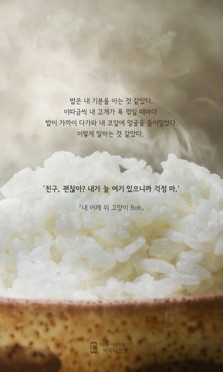 드르와 이미지