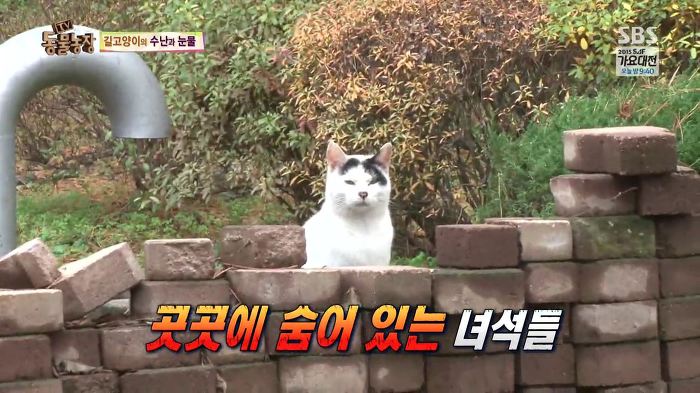 눈앞에서 제 아이가 맞아죽었습니다. 도와주세요 | 인스티즈