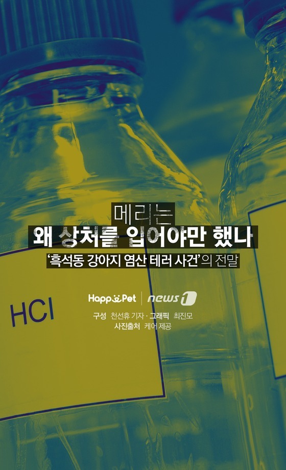 흑석동 강아지 염산테러사건의 전말 | 인스티즈