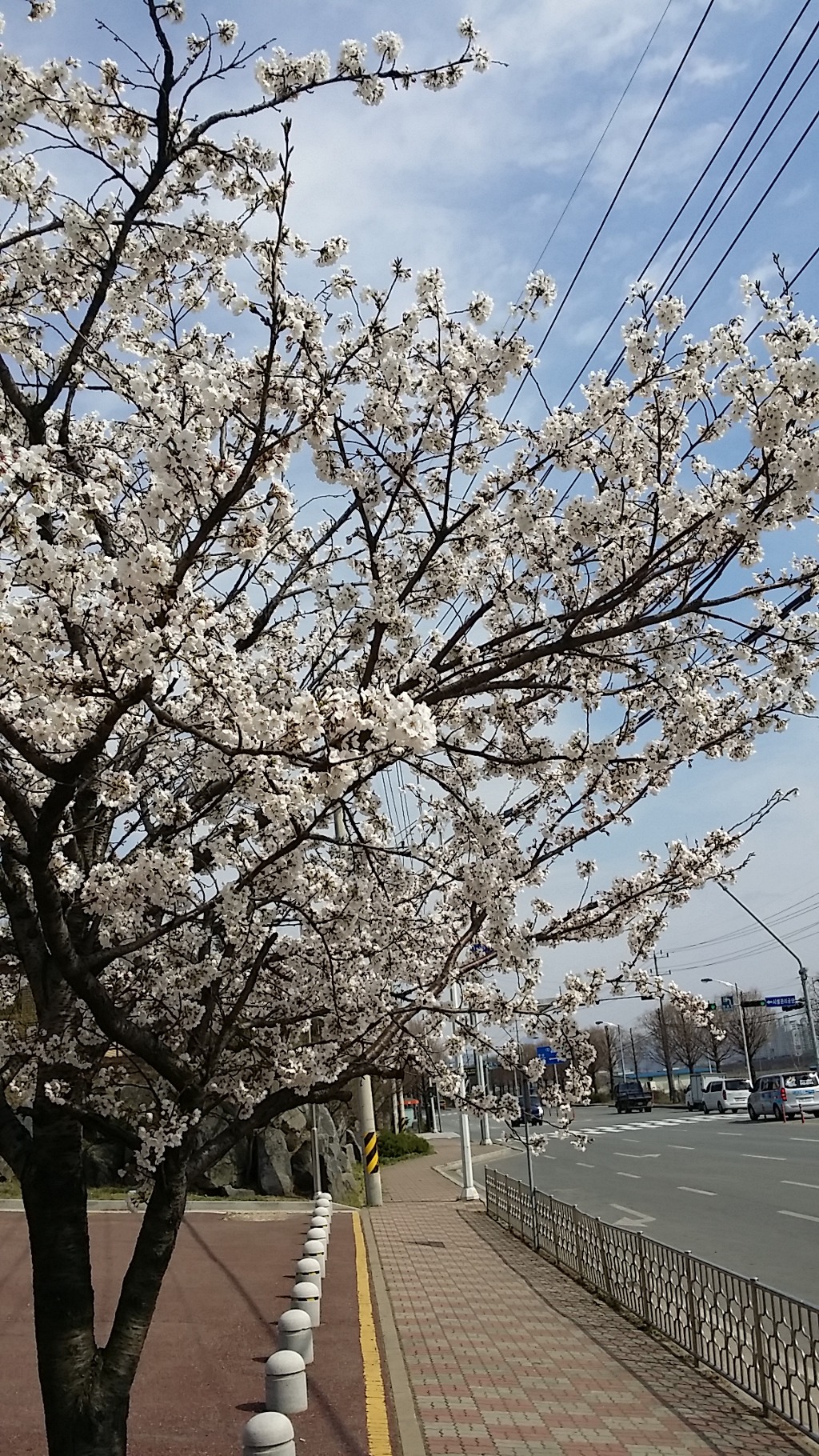 공설운동장 이미지