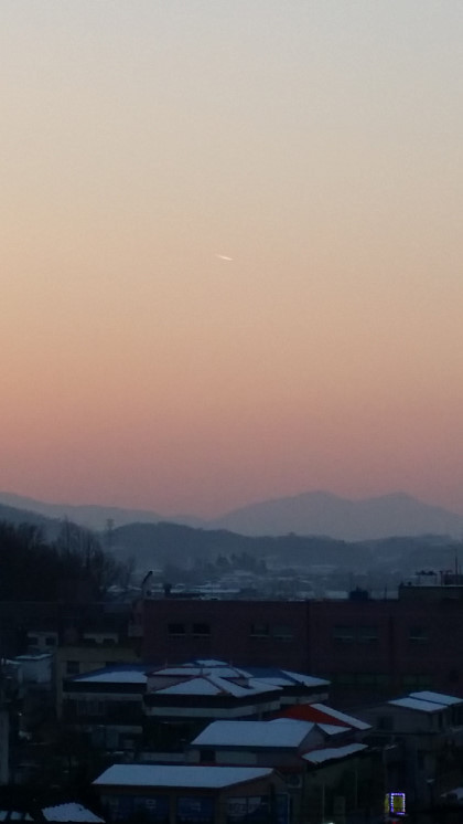 ２１데이타 이미지