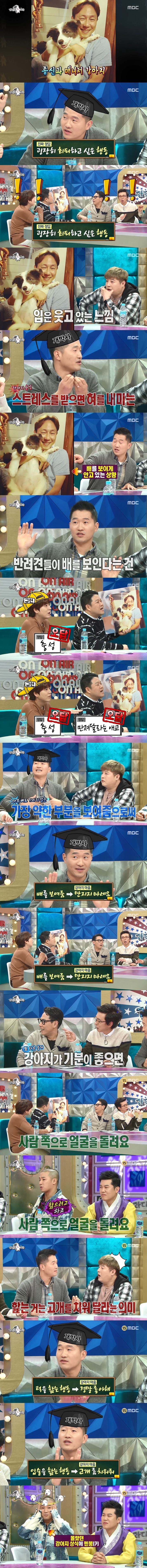 강아지 키우는 분들 멘붕하는 사실 | 인스티즈