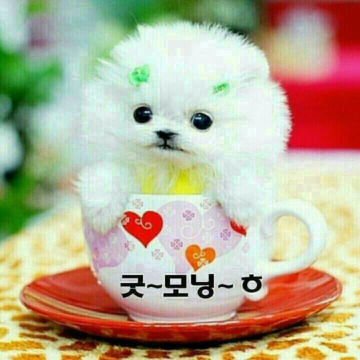 빵긋 이미지
