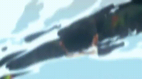 초사이어인.gif | 인스티즈