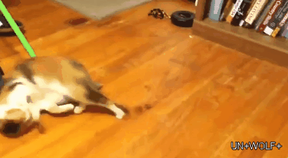 난 한 마리의 걸레가 되고싶다!!!! | 인스티즈