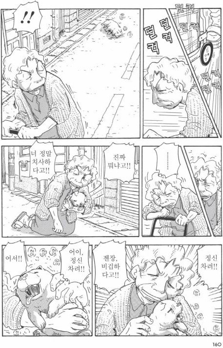 개를 주워 오면 안되는 이유 | 인스티즈