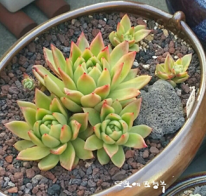 상상홀릭 이미지
