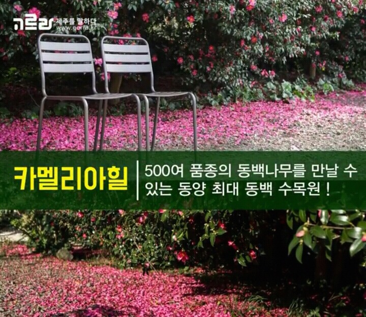 제주 겨울 여행지 12.jpg | 인스티즈
