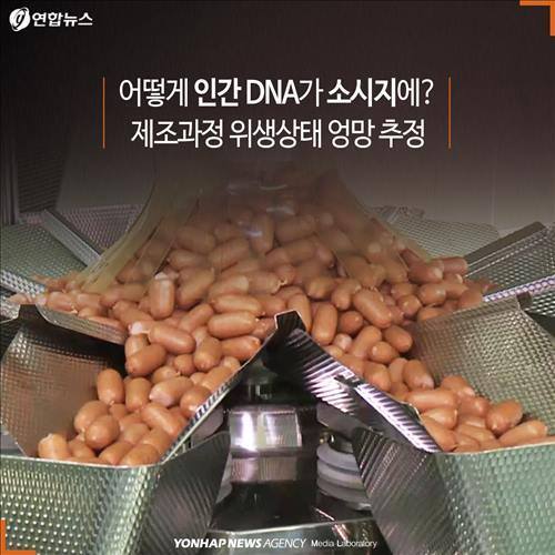 격랑의 소시지 | 인스티즈