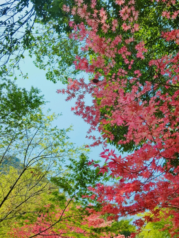 일본 시골마을에서 찍은 사진들-2 | 인스티즈