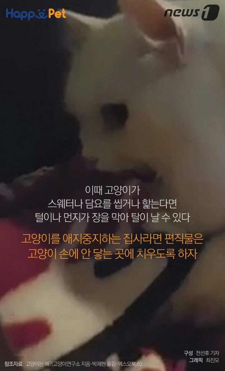 꾹꾹이라 하면 당연히 고냥이부르는거지! | 인스티즈