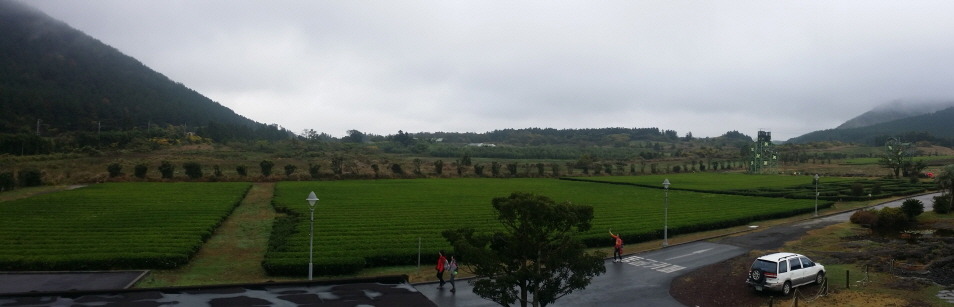 제주도여행 | 인스티즈