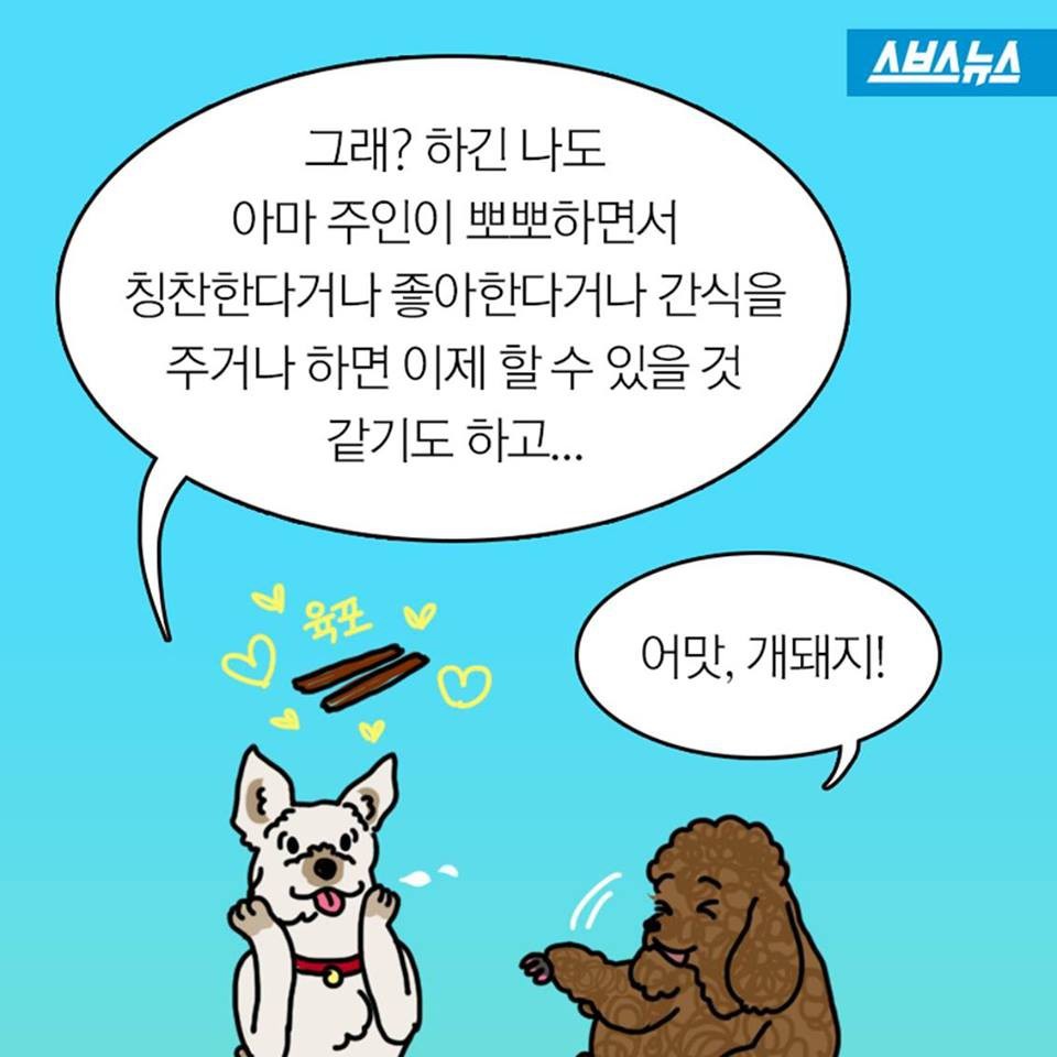 개들이 뽀뽀를 피하는 이유.jpg | 인스티즈