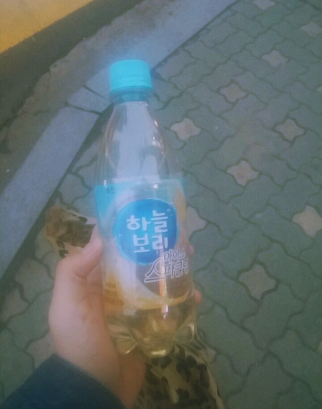 새로나온 2016년 신작 하늘보리 | 인스티즈