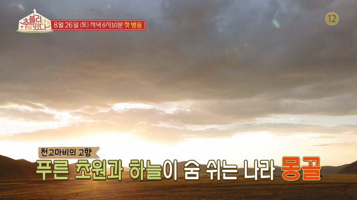 스브스에서 새로하는 예능 프로 | 인스티즈