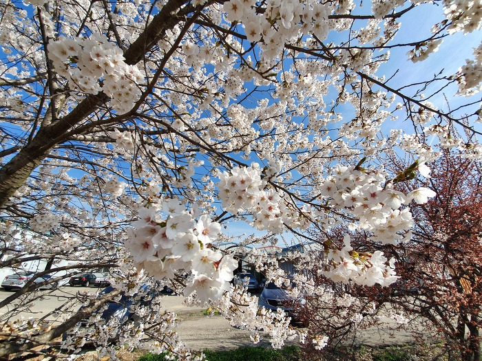 9906013D5CBACBF313990D