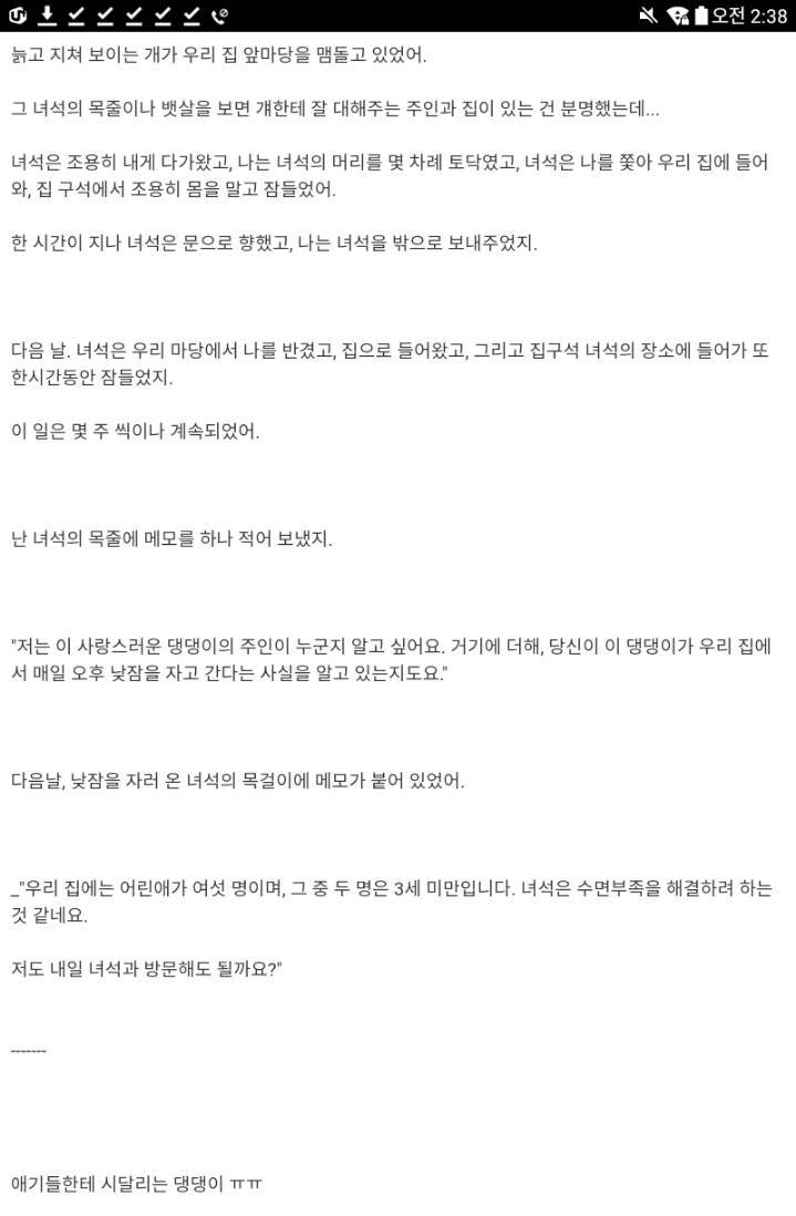 모르는 개가 자꾸 우리 집에서 자고 간다 | 인스티즈