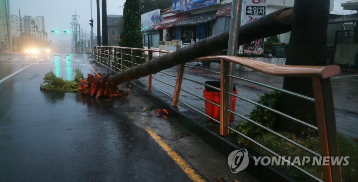 솔릭이 강타한 제주도 상황.jpg | 인스티즈