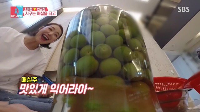 [동상이몽2] 매실주 담는게 너무 행복한 소이현 | 인스티즈