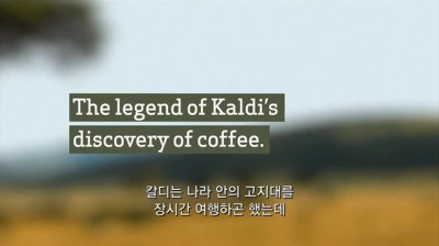 우리가 커피를 값싸게 먹을수 있는 이유 | 인스티즈
