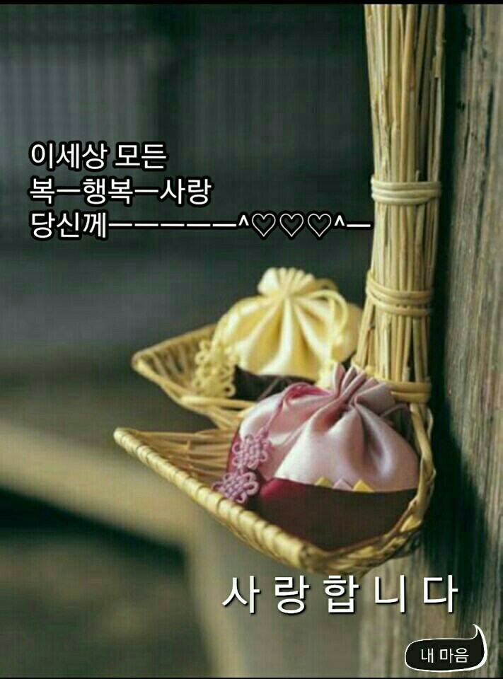 영천낚시 이미지