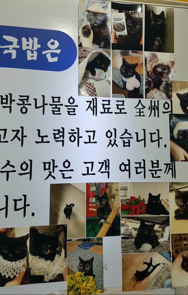 집사인거 자랑하고싶은 국밥집 사장님 | 인스티즈