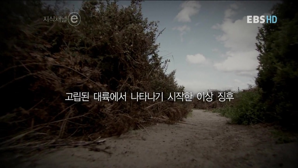 호주의 토끼전쟁 | 인스티즈