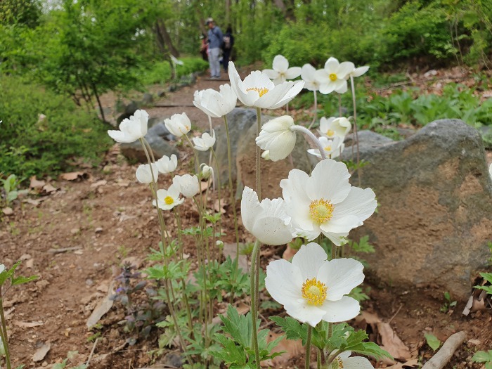 99118F365CC650DD2CFAB5