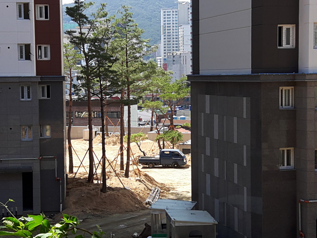 금일초등학교 이미지