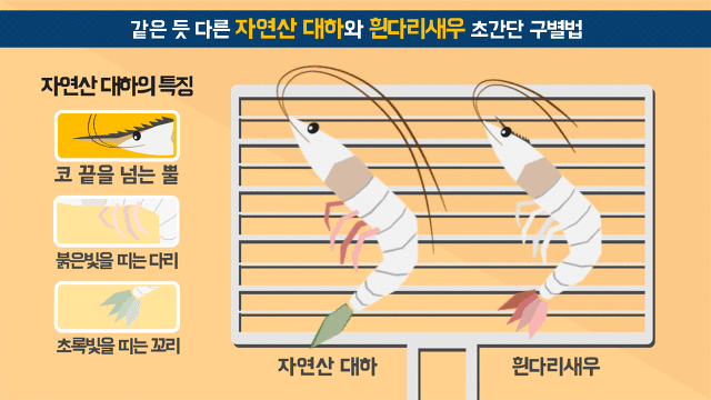 대하 구별법 | 인스티즈