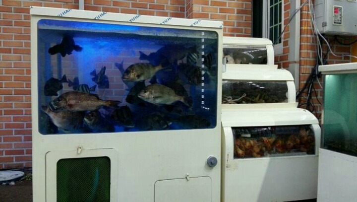 정선수산 이미지