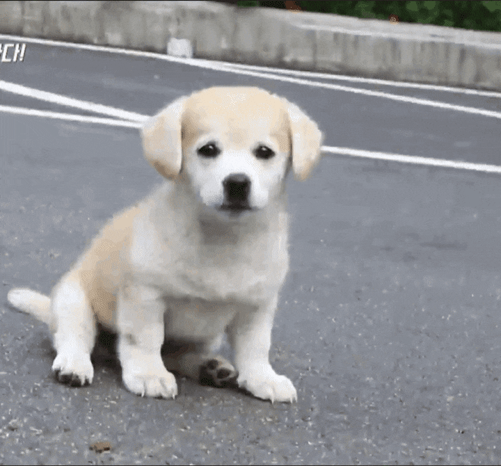 이거 못먹는 사람 은근 많음.jpg | 인스티즈