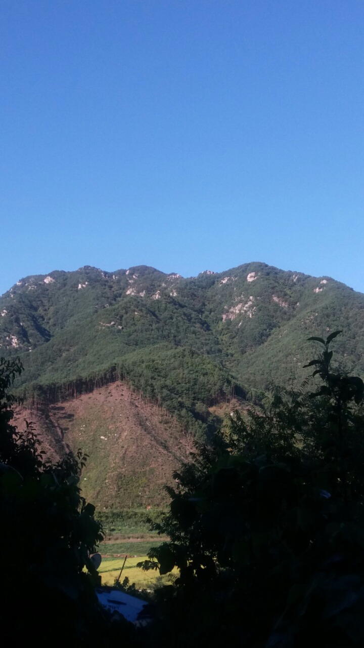 고향산천 이미지