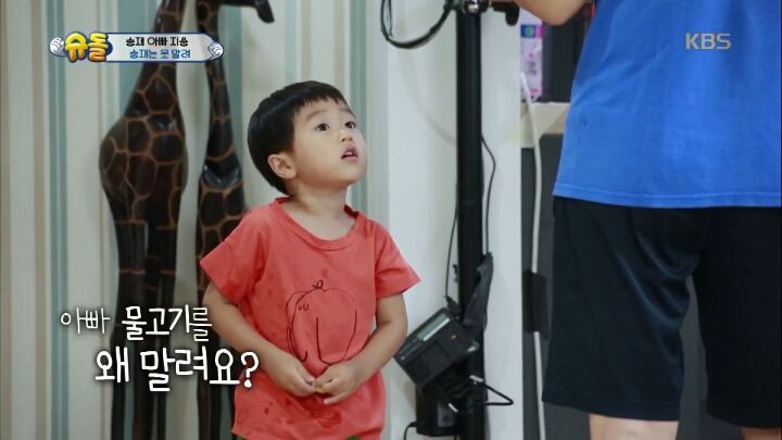 아빠의 중요 파일이 담긴 죽은 물고기를 어항에 넣어준 승재.jpg | 인스티즈