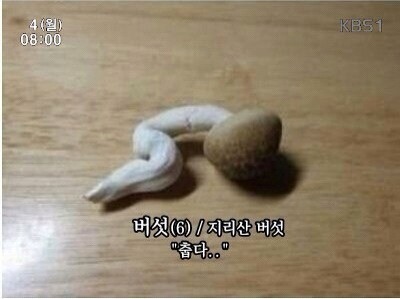 [꿀팁] 지하철에서 구겨지지 않는 방법 (아무말주의) | 인스티즈