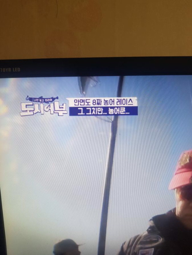 누가 도시어부 편집자 인터넷 선좀 끊어라 | 인스티즈