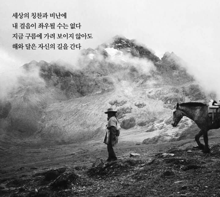풀향 이미지